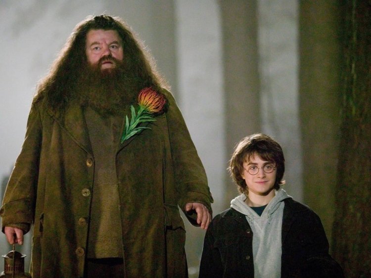 Legendary Harry Potter actor Robbie Coltrane died at 72