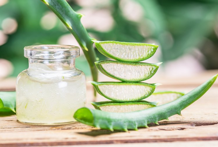 Aloe vera is full of thousands of properties, but still it can cause these 6 disadvantages