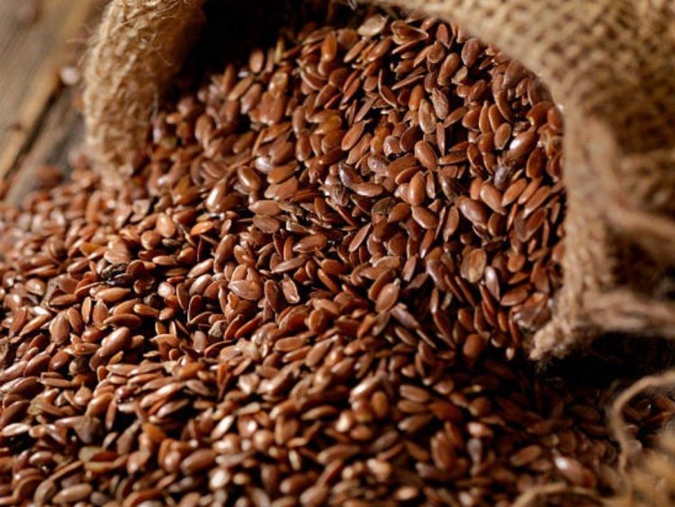 Flaxseed Health Benefits: Protein is filled in each and every grain of linseed, it is useful in many diseases