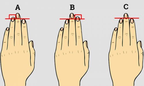 जानिए हाथ की उंगलियों के आकार से आपका व्यक्तित्व कैसा है
