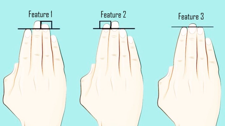 Know your personality by the shape of your fingers